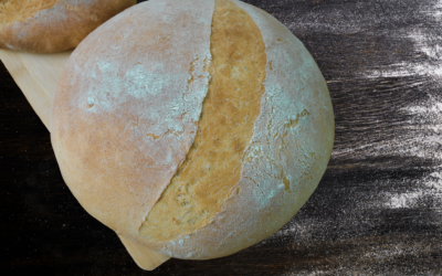 Artisan Rustic Honey Whole Wheat Bread with Rolled Oats and 9 Grains