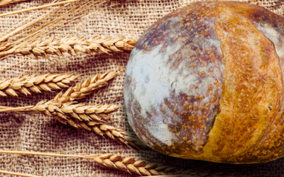 Artisan Sourdough Bread